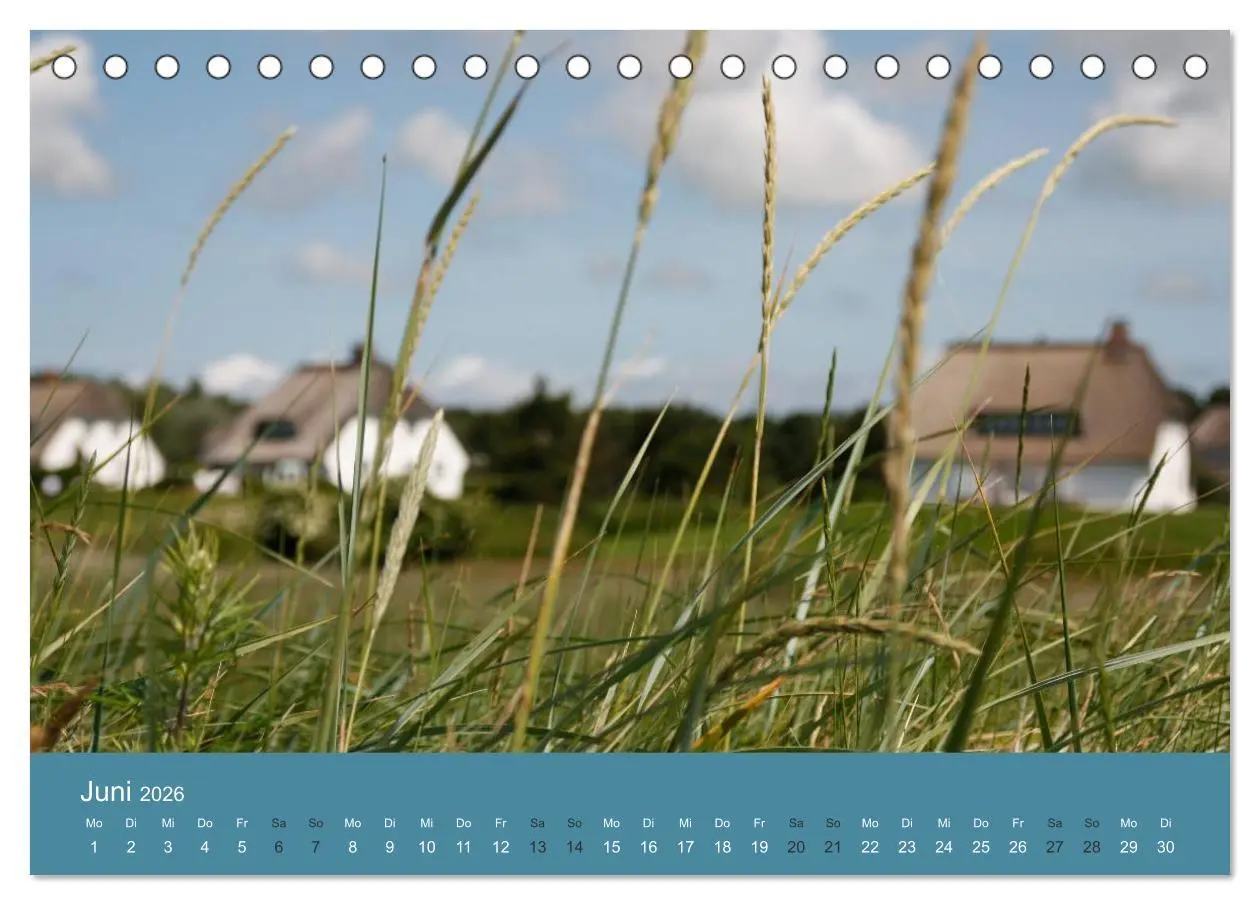 Bild: 9783516159004 | Föhr 2026. Porträt einer Insel (Tischkalender 2026 DIN A5 quer),...