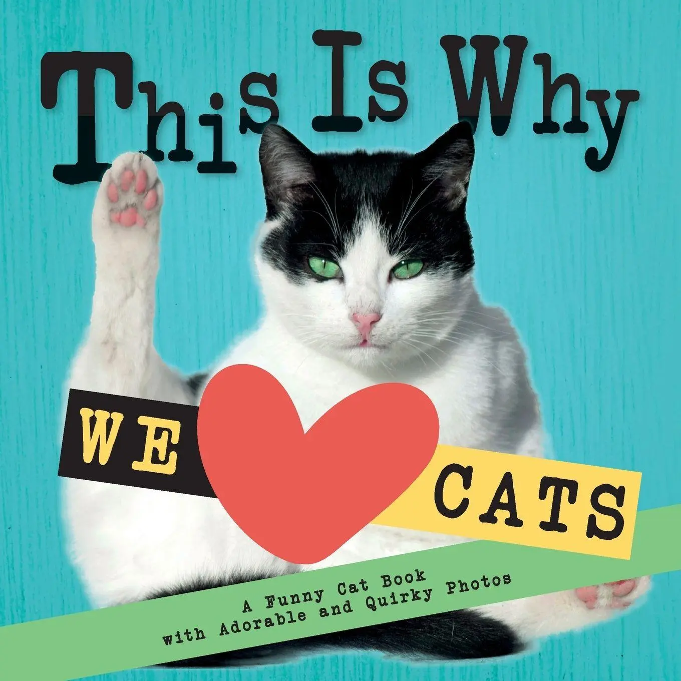Cover: 9783912159004 | This Is Why We Love Cats | Emily Johnson | Taschenbuch | Englisch