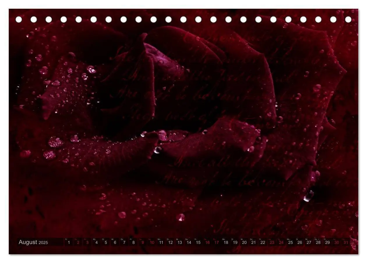 Bild: 9783435659104 | Gothic Rose - Rosen aus dem Garten der Finsternis (Tischkalender...