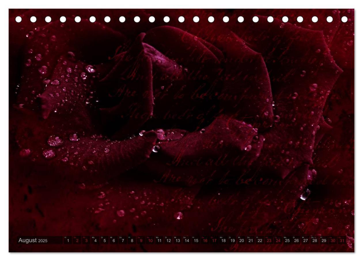Bild: 9783435659104 | Gothic Rose - Rosen aus dem Garten der Finsternis (Tischkalender...