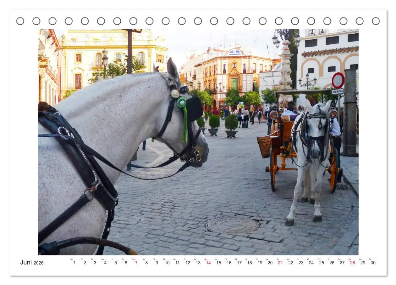 Bild: 9783457679104 | Sevilla Eine Stadt zum Träumen (Tischkalender 2026 DIN A5 quer),...