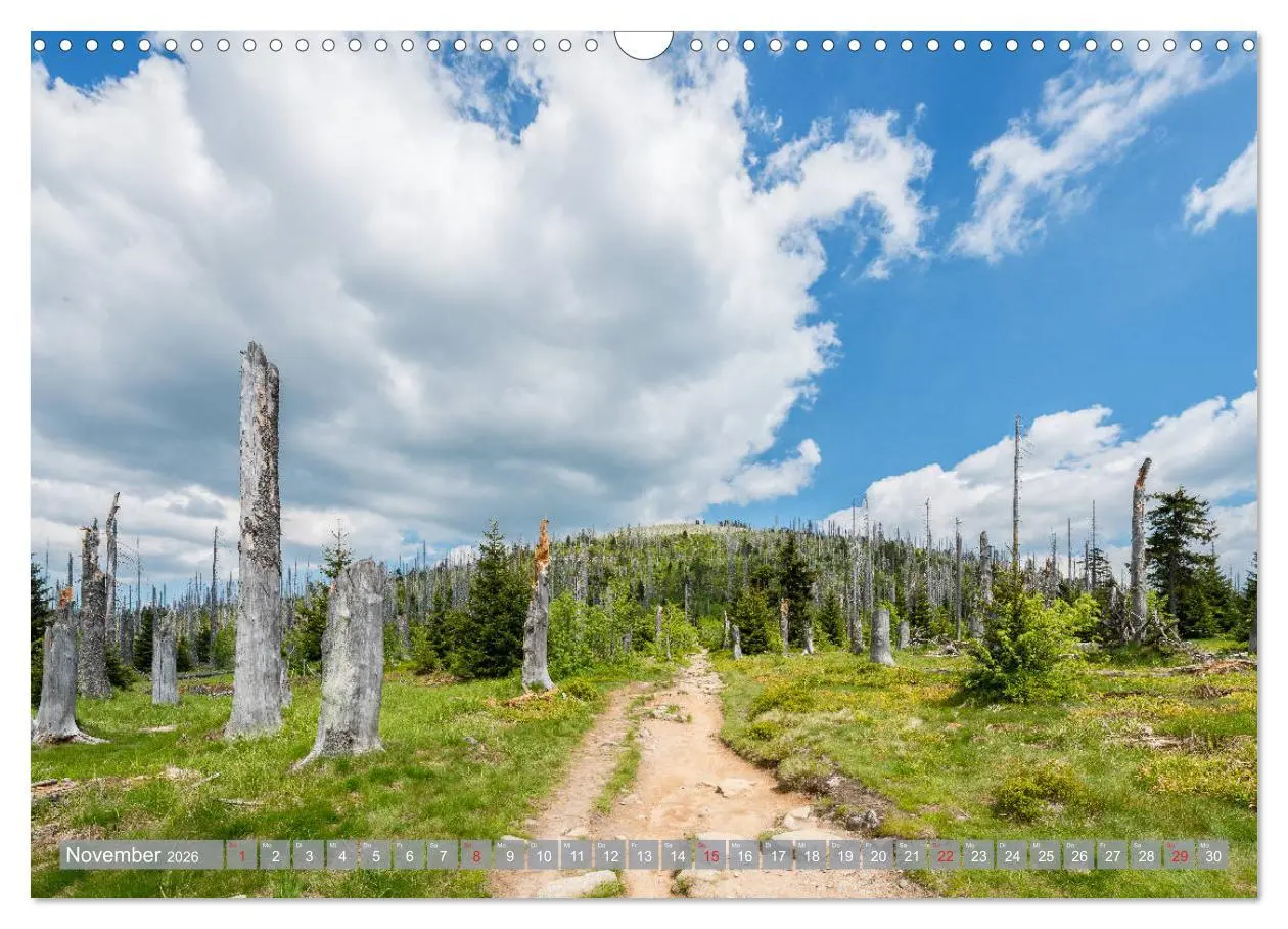Bild: 9783457819104 | Mein Niederbayern (Wandkalender 2026 DIN A3 quer), CALVENDO...