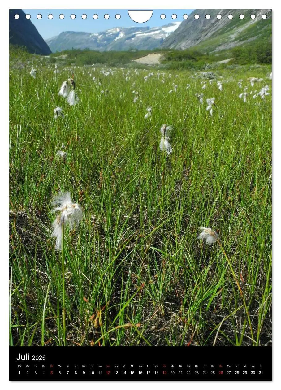 Bild: 9783516459104 | Paradiesisches Norwegen (Wandkalender 2026 DIN A4 hoch), CALVENDO...