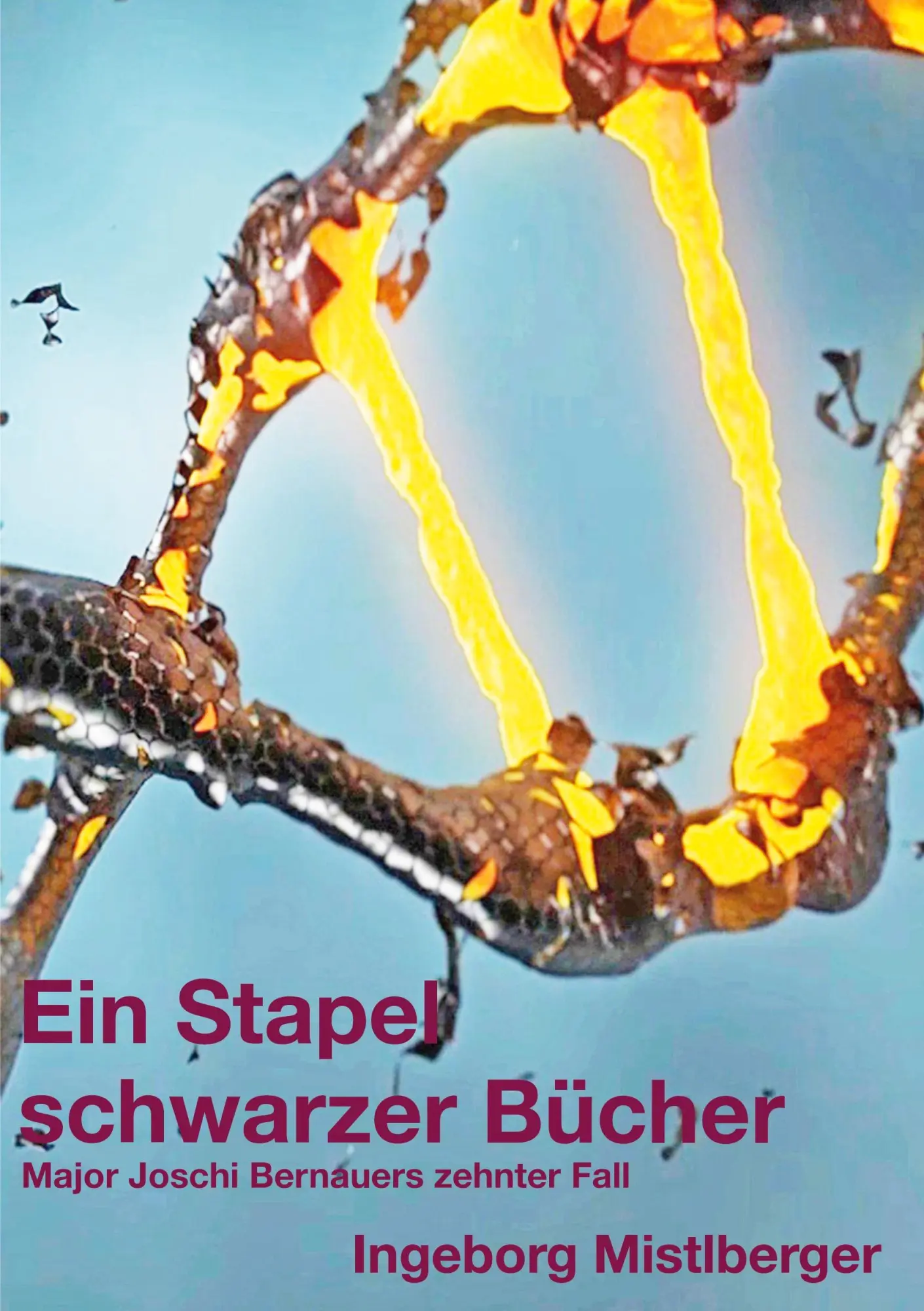 Cover: 9783769389104 | Ein Stapel schwarzer Bücher | Major Joschi Bernauers zehnter Fall