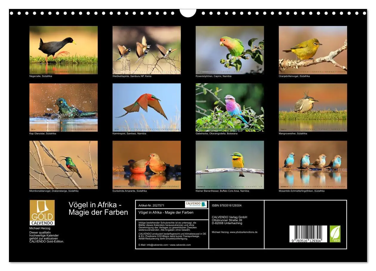 Bild: 9783516129304 | Vögel in Afrika - Magie der Farben (Wandkalender 2026 DIN A3 quer),...