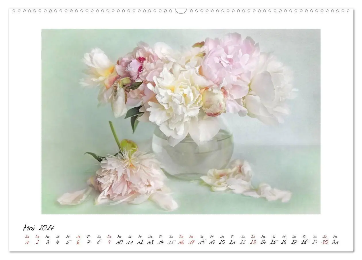 Bild: 9783569909304 | Kleine Blütenwunder (Wandkalender 2027 DIN A2 quer), CALVENDO...