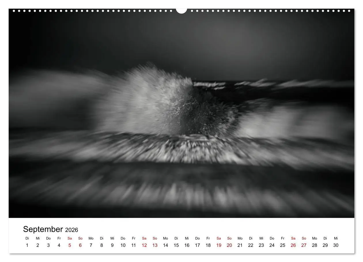 Bild: 9783457879504 | Sylt ... bewegt (Wandkalender 2026 DIN A2 quer), CALVENDO...