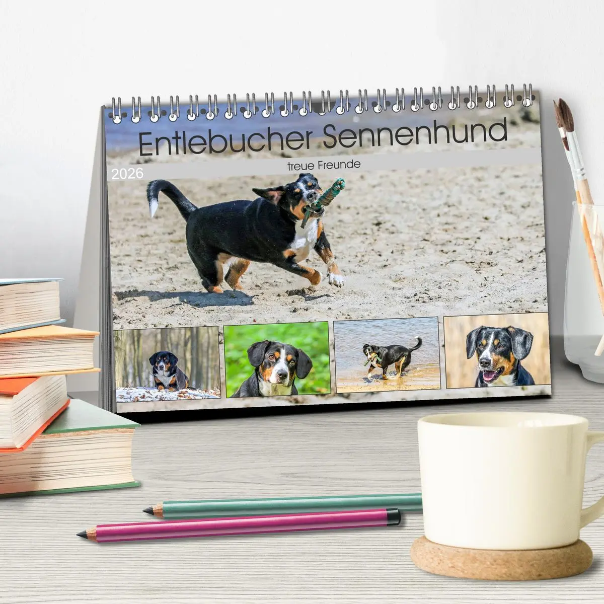Bild: 9783516039504 | Entlebucher Sennenhund - treue Freunde (Tischkalender 2026 DIN A5...