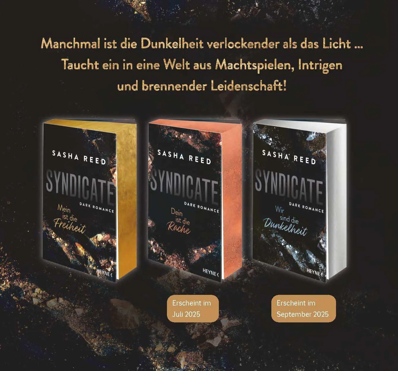 Bild: 9783453429604 | Syndicate - Mein ist die Freiheit | Sasha Reed | Taschenbuch | 464 S.