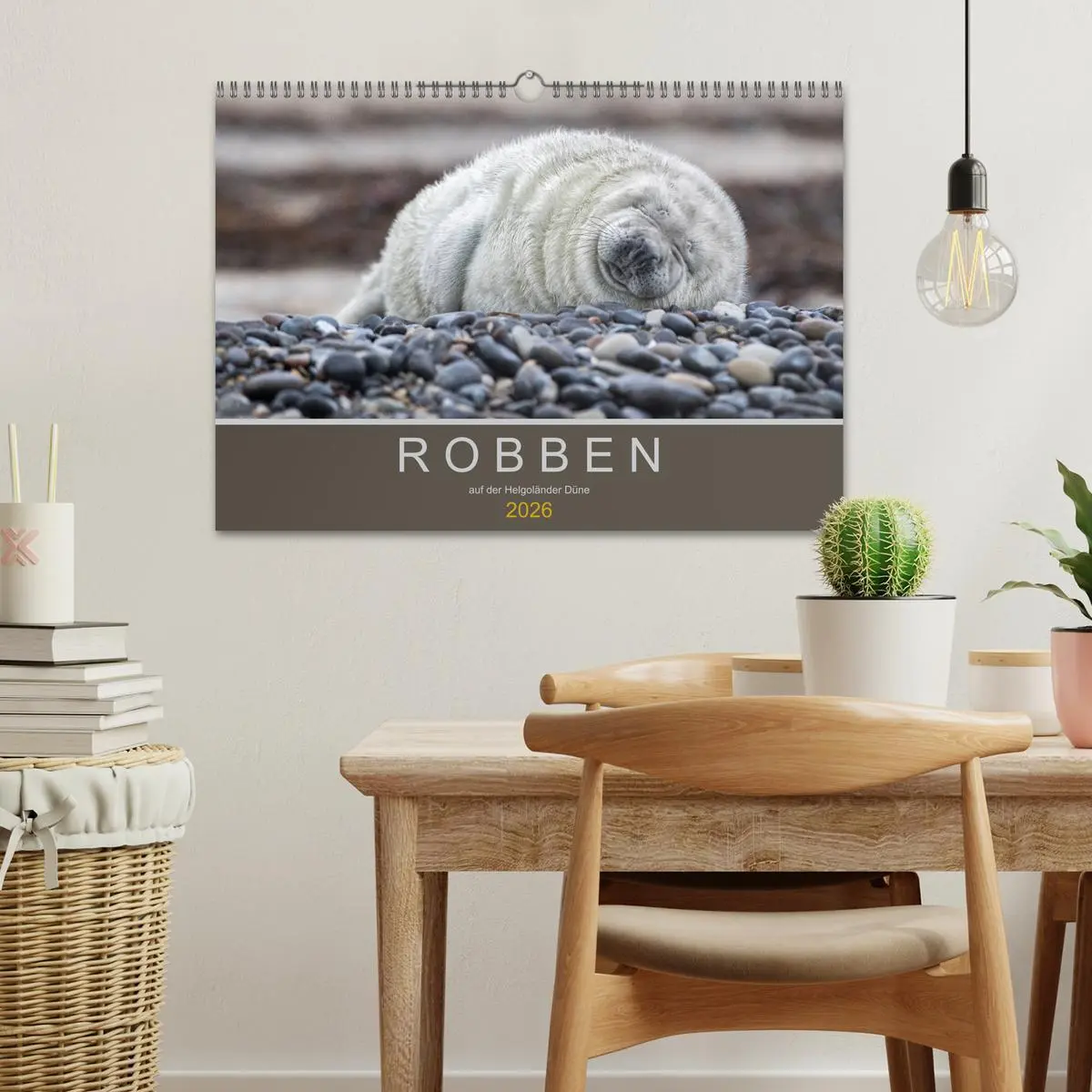 Bild: 9783457939604 | Robben auf der Helgoländer Düne (Wandkalender 2026 DIN A3 quer),...