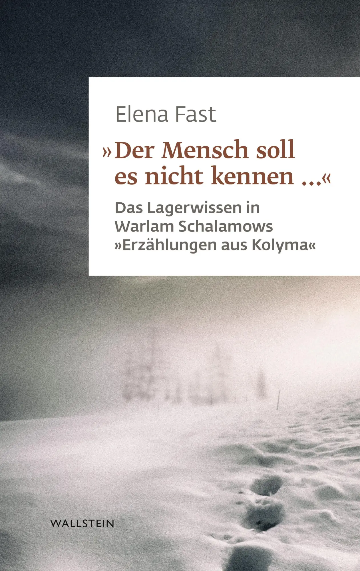 Cover: 9783835359604 | 'Der Mensch soll es nicht kennen ...' | Elena Fast | Buch | 444 S.