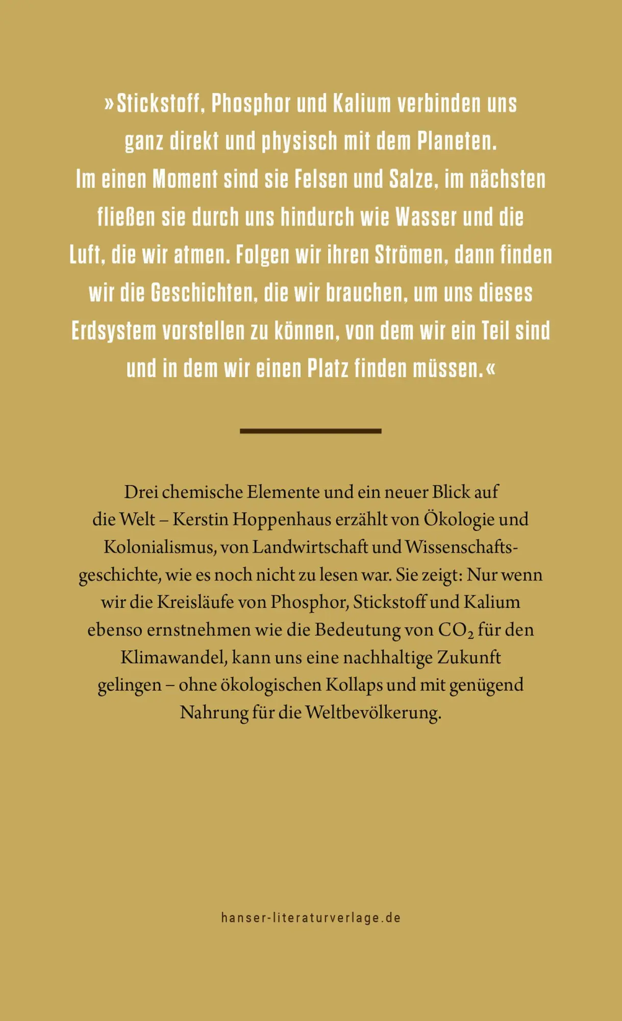 Bild: 9783446279704 | Die Salze der Erde | Kerstin Hoppenhaus | Buch | 336 S. | Deutsch