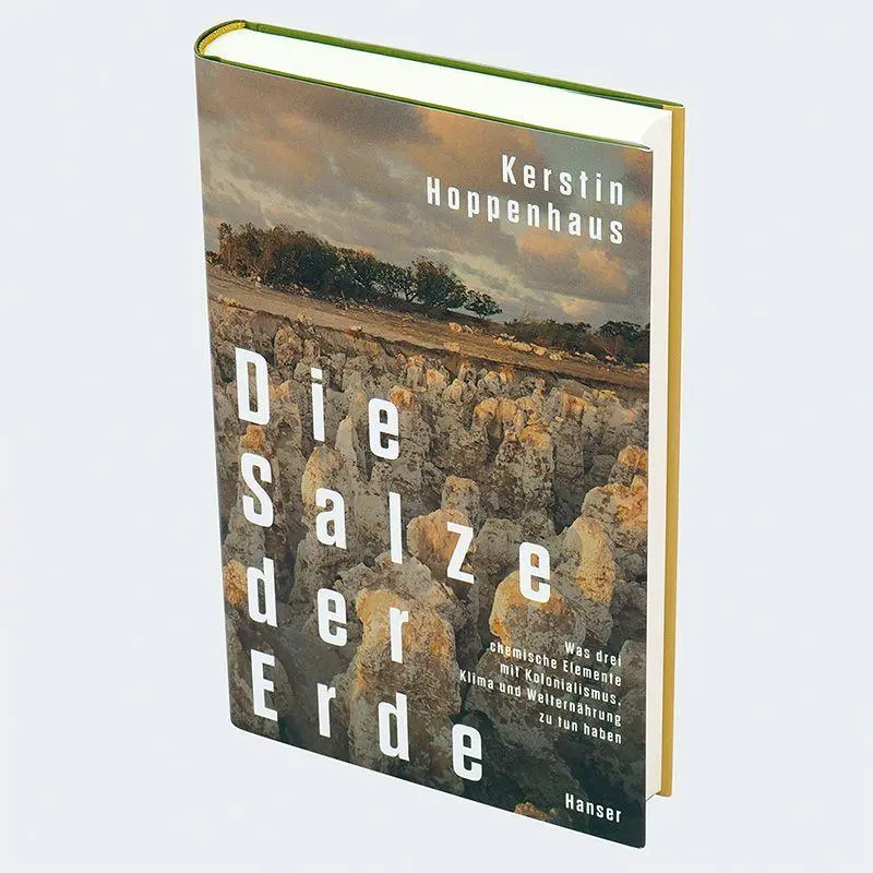 Bild: 9783446279704 | Die Salze der Erde | Kerstin Hoppenhaus | Buch | 336 S. | Deutsch