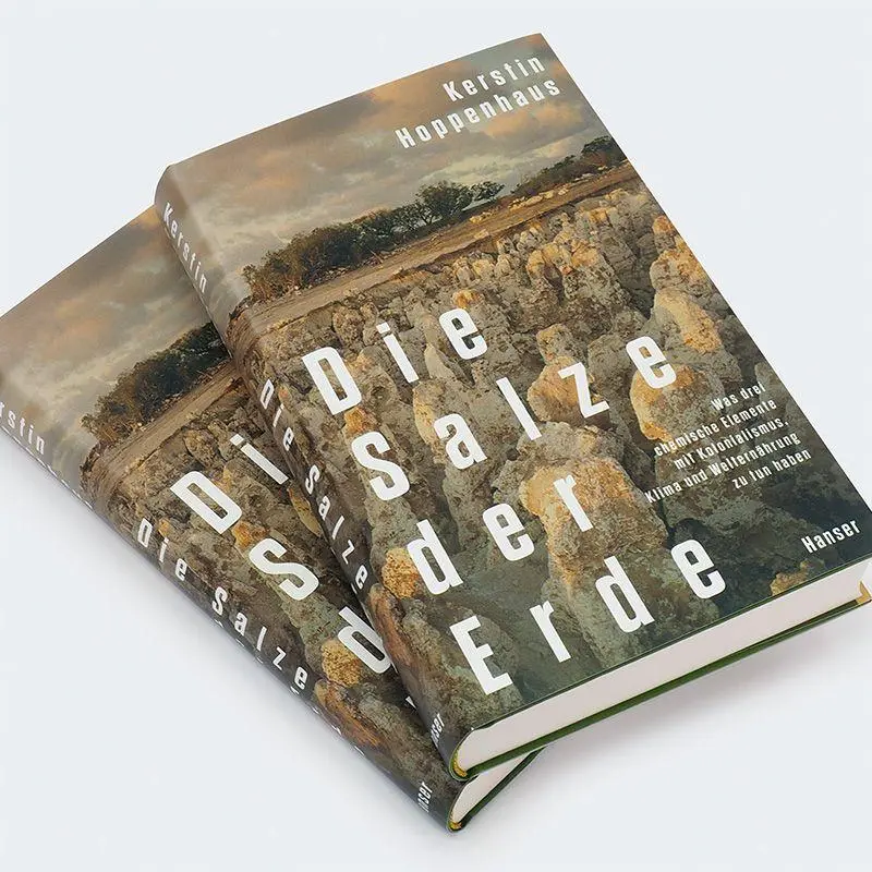 Bild: 9783446279704 | Die Salze der Erde | Kerstin Hoppenhaus | Buch | 336 S. | Deutsch