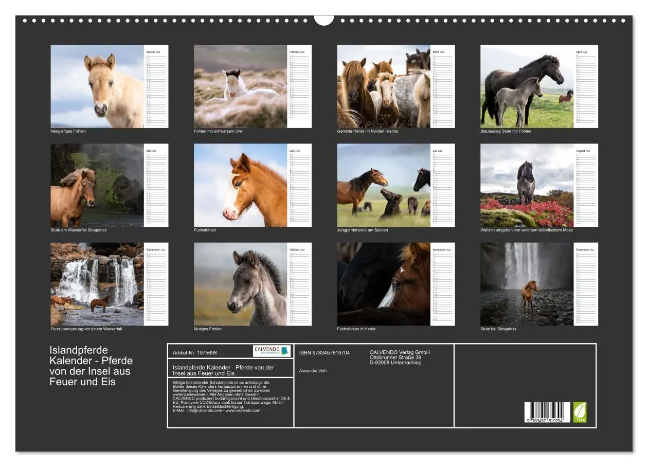Bild: 9783457619704 | Islandpferde Kalender - Pferde von der Insel aus Feuer und Eis...