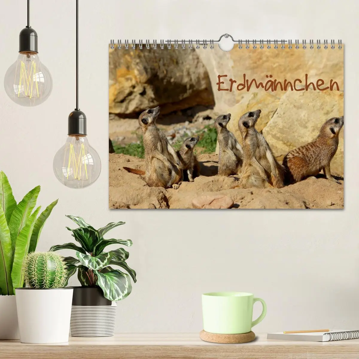 Bild: 9783516189704 | Erdmännchen (Wandkalender 2026 DIN A4 quer), CALVENDO Monatskalender