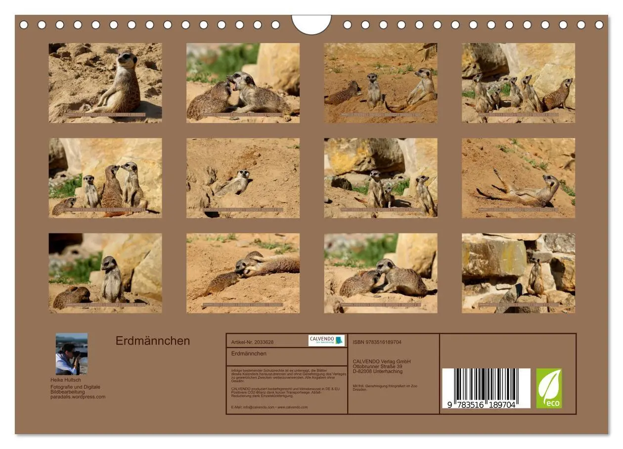 Bild: 9783516189704 | Erdmännchen (Wandkalender 2026 DIN A4 quer), CALVENDO Monatskalender
