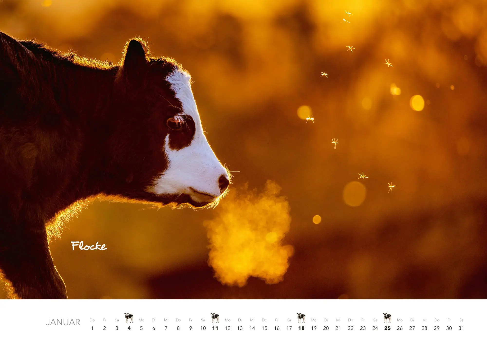 Bild: 9783966649704 | Tierkinder auf dem Bauernhof Kalender 2026 | J. -L. Klein (u. a.)