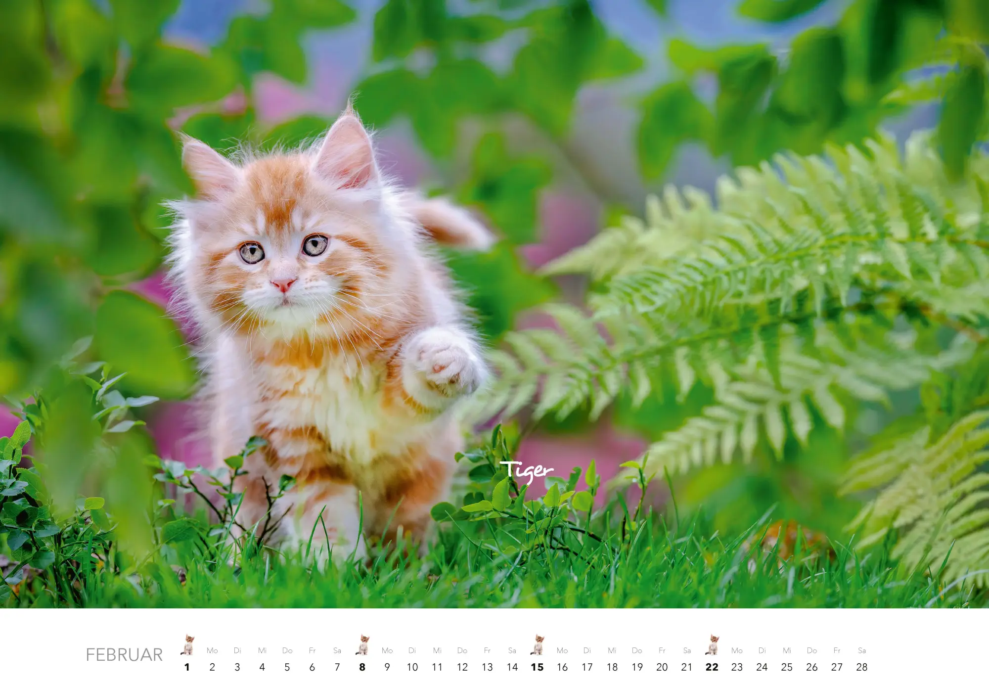 Bild: 9783966649704 | Tierkinder auf dem Bauernhof Kalender 2026 | J. -L. Klein (u. a.)