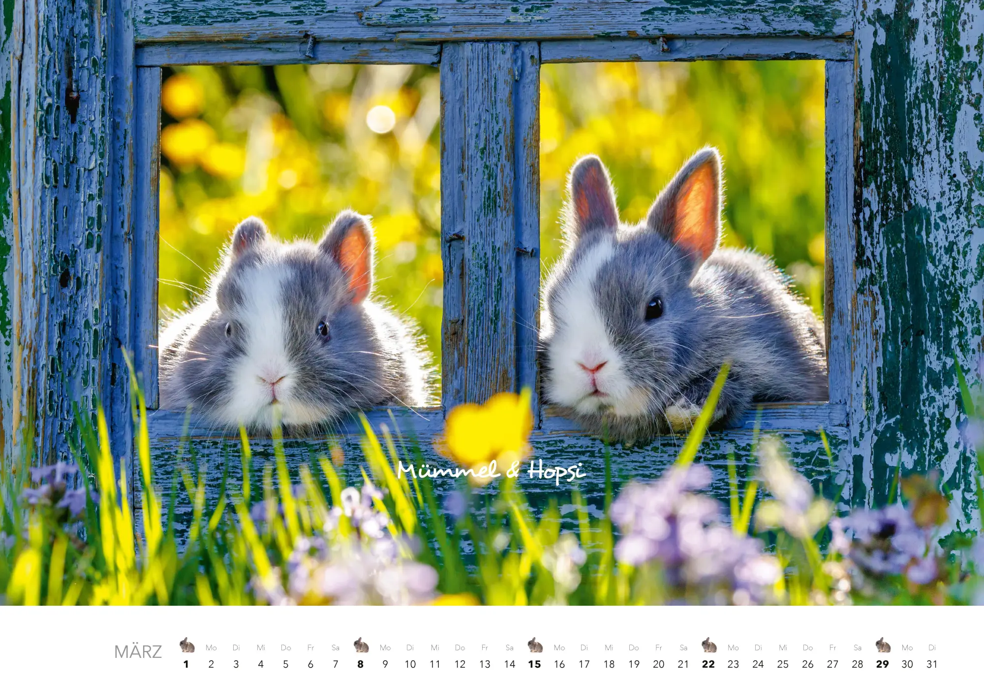 Bild: 9783966649704 | Tierkinder auf dem Bauernhof Kalender 2026 | J. -L. Klein (u. a.)