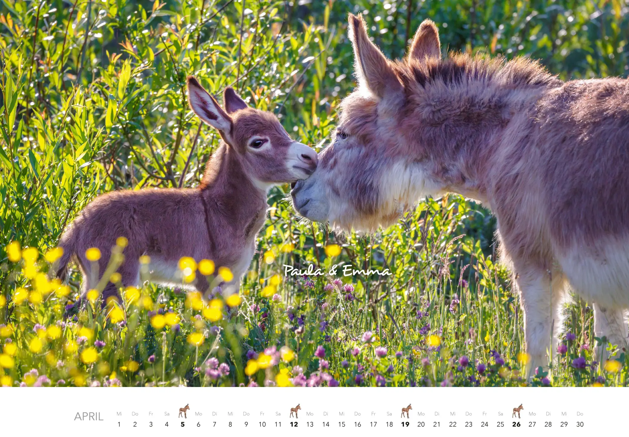 Bild: 9783966649704 | Tierkinder auf dem Bauernhof Kalender 2026 | J. -L. Klein (u. a.)
