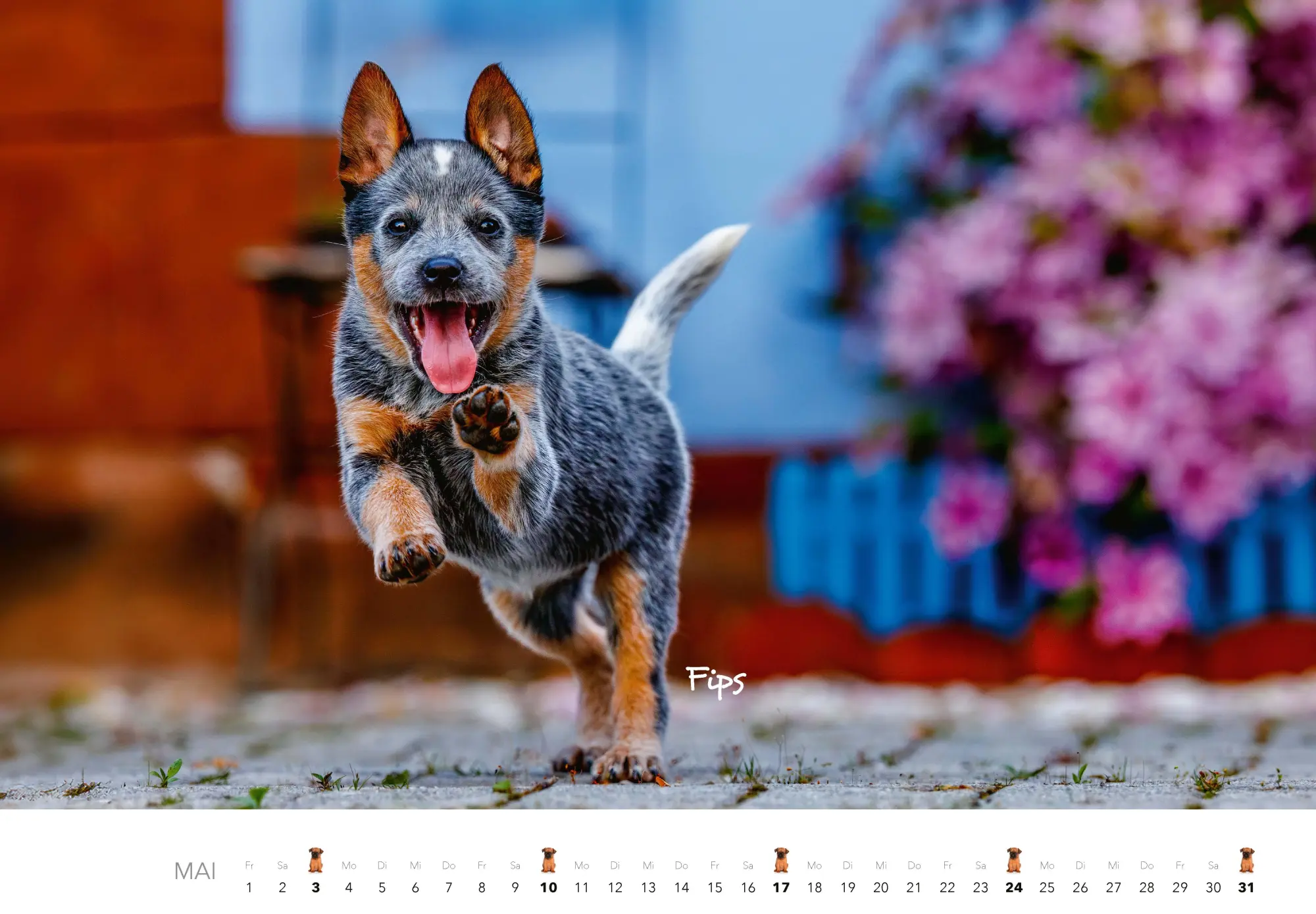 Bild: 9783966649704 | Tierkinder auf dem Bauernhof Kalender 2026 | J. -L. Klein (u. a.)