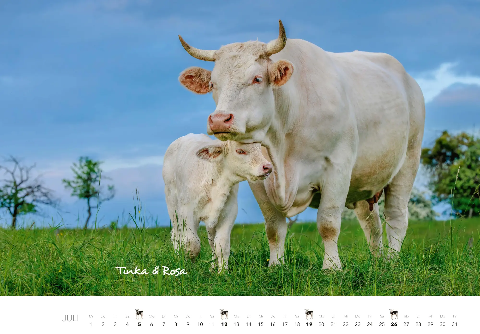 Bild: 9783966649704 | Tierkinder auf dem Bauernhof Kalender 2026 | J. -L. Klein (u. a.)