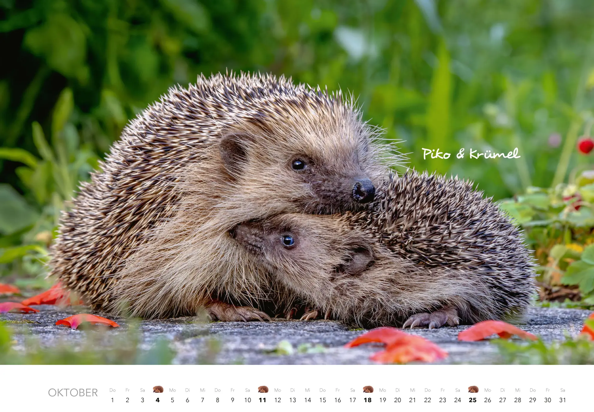 Bild: 9783966649704 | Tierkinder auf dem Bauernhof Kalender 2026 | J. -L. Klein (u. a.)