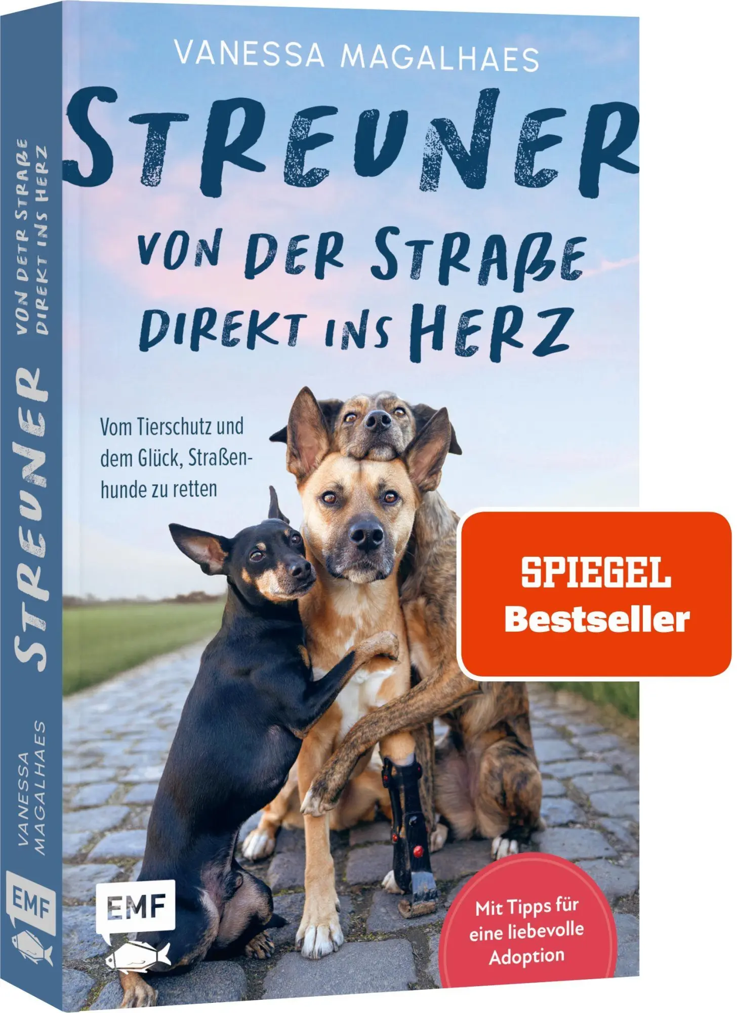 Cover: 9783745929904 | Streuner - von der Straße direkt ins Herz | Vanessa Magalhaes | Buch