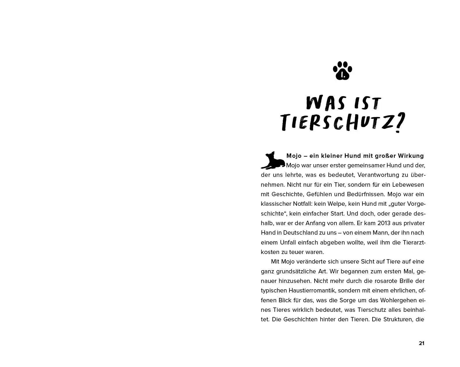 Bild: 9783745929904 | Streuner - von der Straße direkt ins Herz | Vanessa Magalhaes | Buch