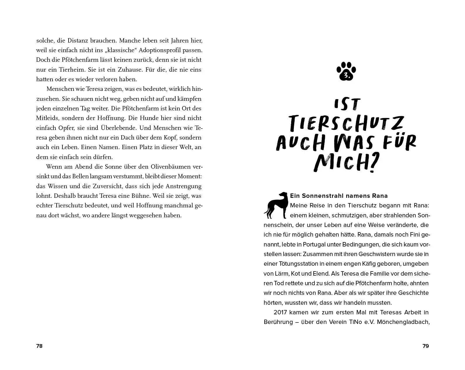 Bild: 9783745929904 | Streuner - von der Straße direkt ins Herz | Vanessa Magalhaes | Buch