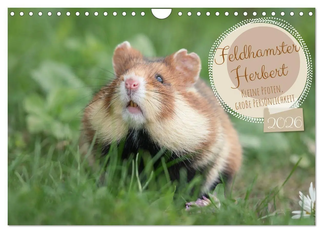 Cover: 9783516730005 | Feldhamster Herbert Kleine Pfoten, große Persönlichkeit...