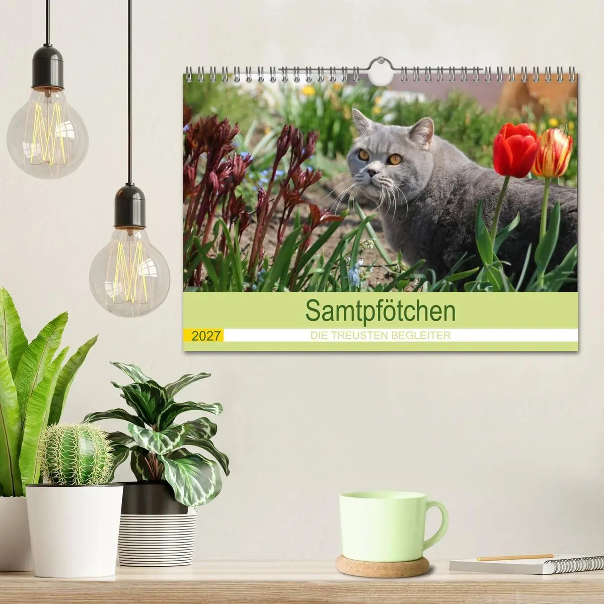 Bild: 9783569510005 | Samtpfötchen - Die treusten Begleiter 2027 (Wandkalender 2027 DIN...