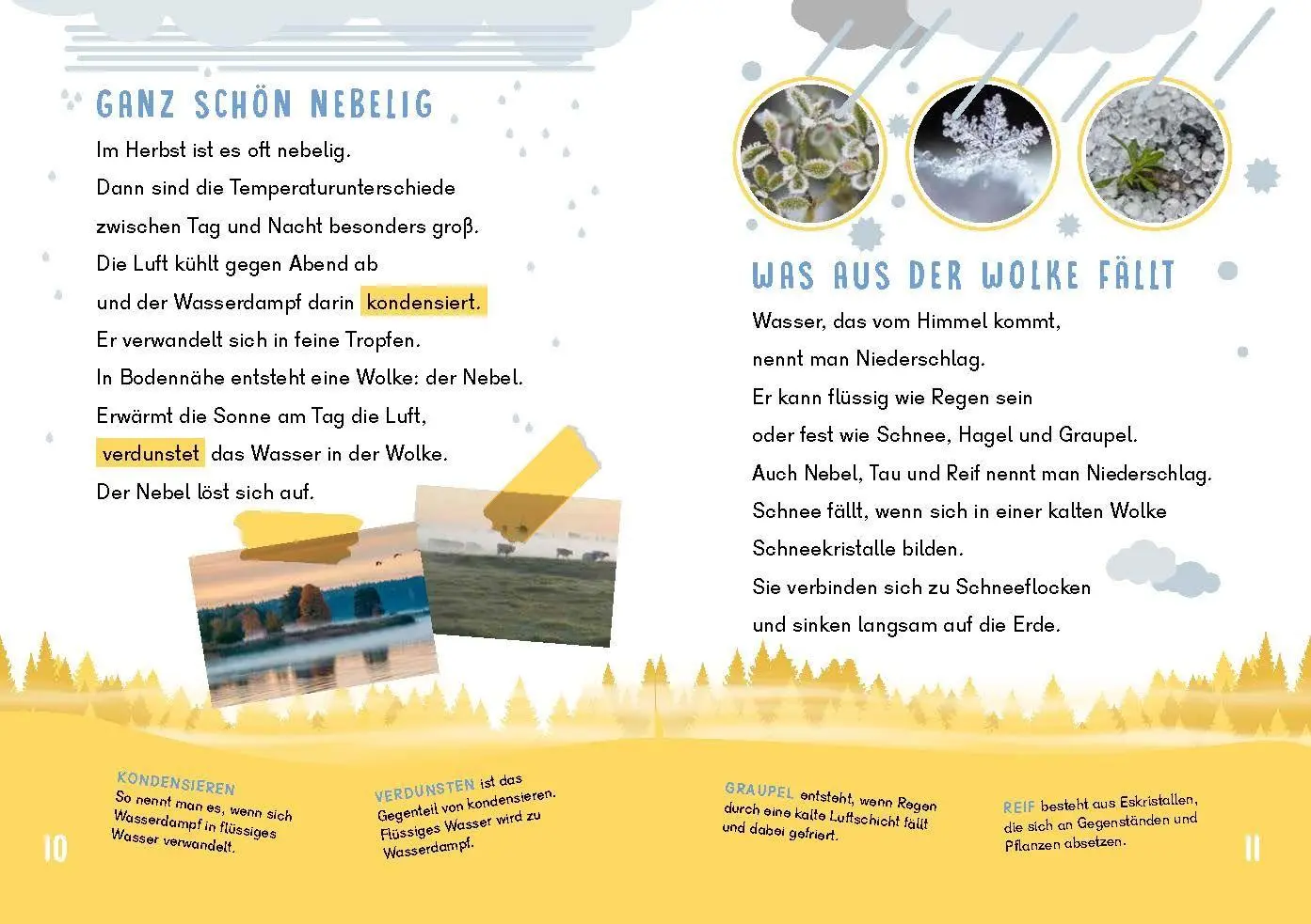 Bild: 9783411780105 | Dein Lesestart - Wetter und Klima | Karolin Küntzel | Buch | 64 S.