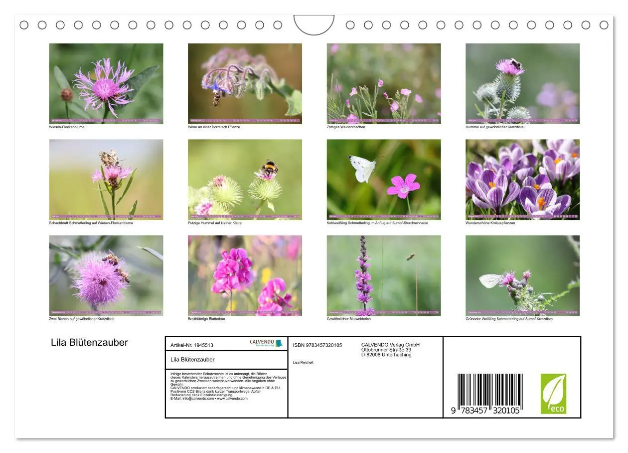 Bild: 9783457320105 | Lila Blütenzauber (Wandkalender 2026 DIN A4 quer), CALVENDO...