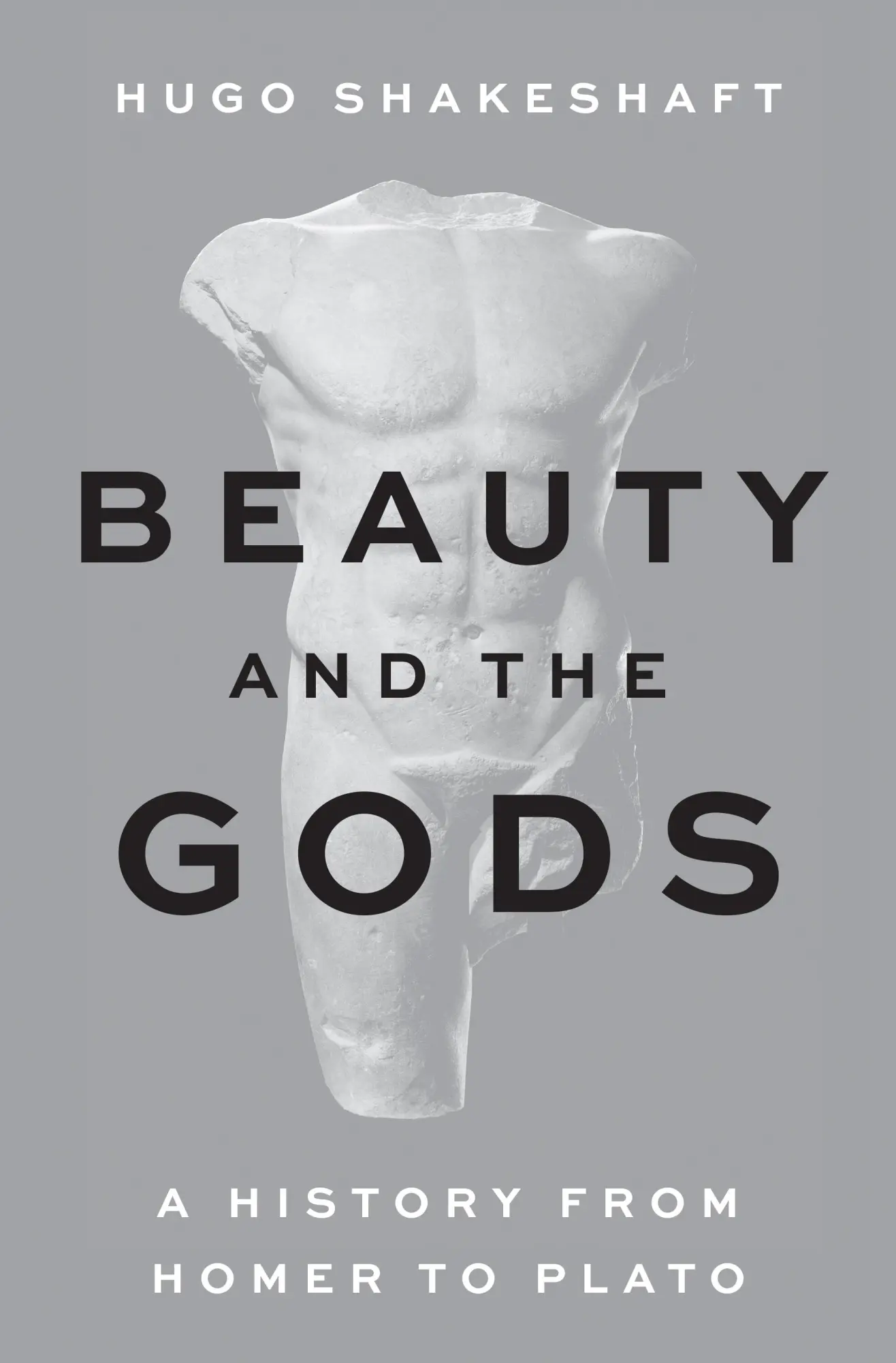 Cover: 9780691250205 | Beauty and the Gods | A History from Homer to Plato | Hugo Shakeshaft