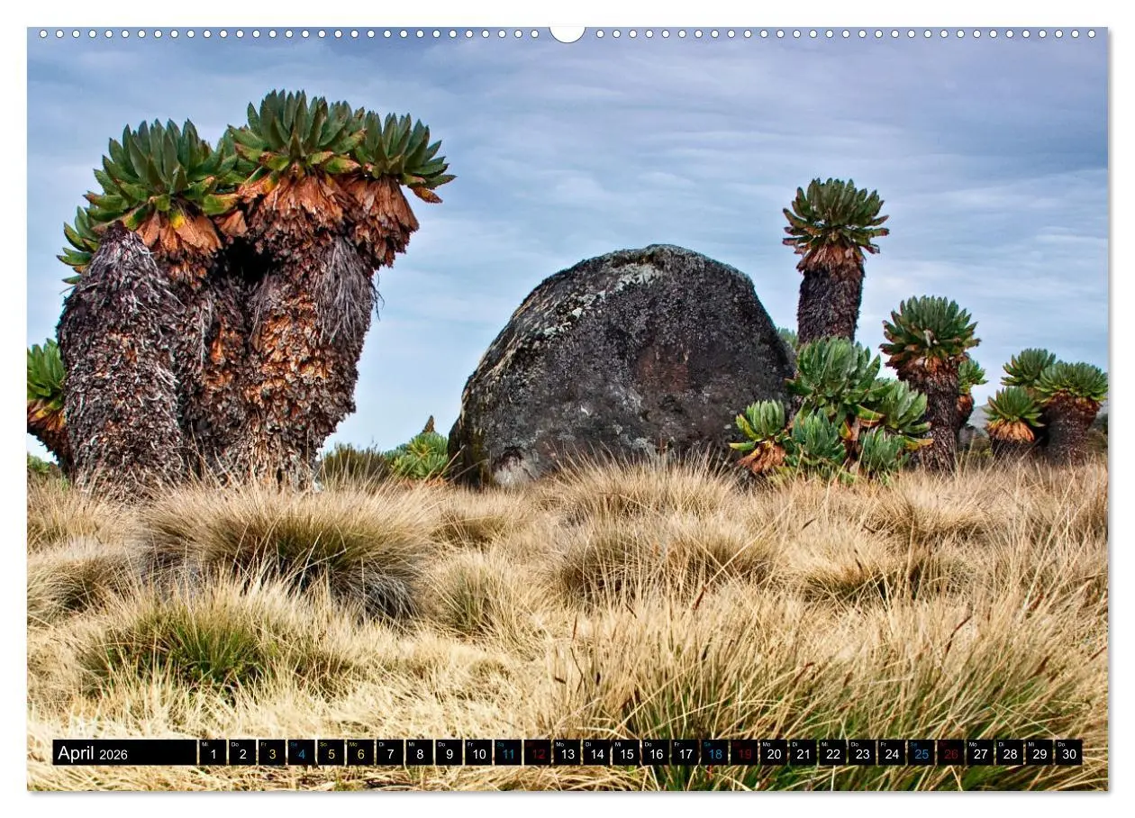 Bild: 9783457480205 | Kilimanjaro - das Dach Afrikas (Wandkalender 2026 DIN A2 quer),...