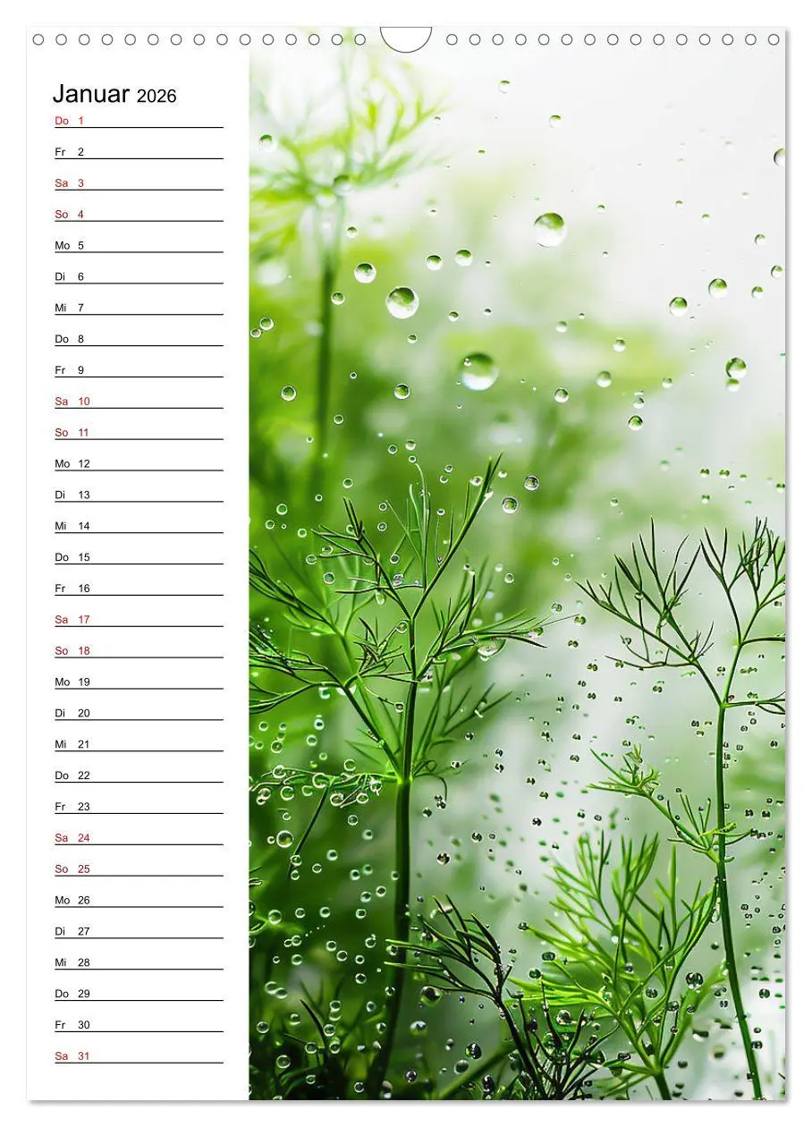 Bild: 9783516260205 | Kräuterfrische (Wandkalender 2026 DIN A3 hoch), CALVENDO...