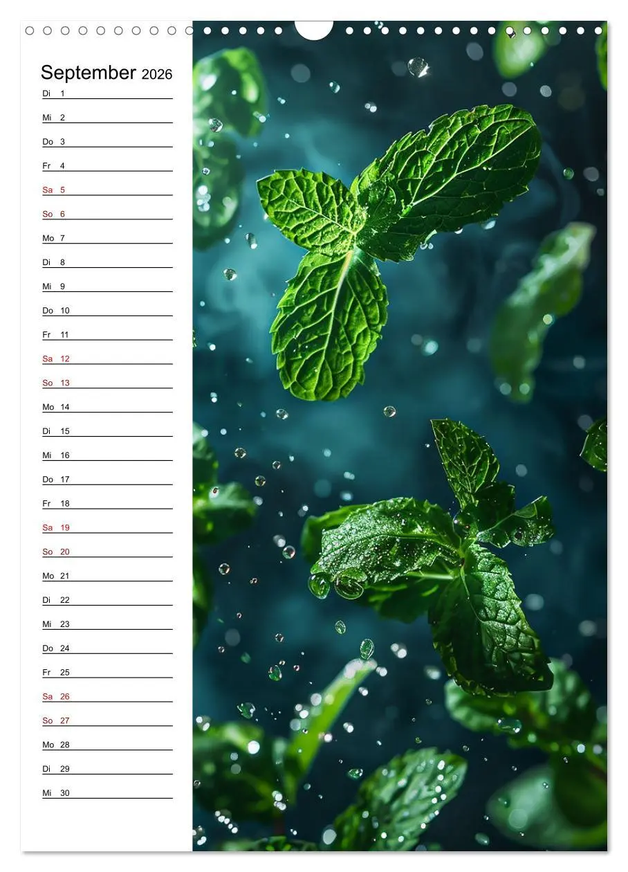 Bild: 9783516260205 | Kräuterfrische (Wandkalender 2026 DIN A3 hoch), CALVENDO...