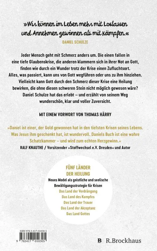 Bild: 9783417010305 | Die einen tragen Steine, die anderen Gold | Daniel Schulze | Buch