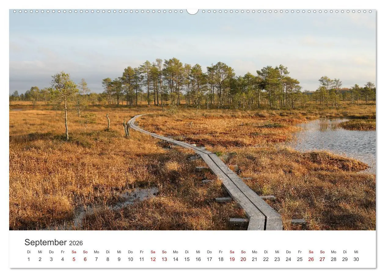 Bild: 9783457610305 | Estland - Ein unbekanntes Paradies. (Wandkalender 2026 DIN A2...