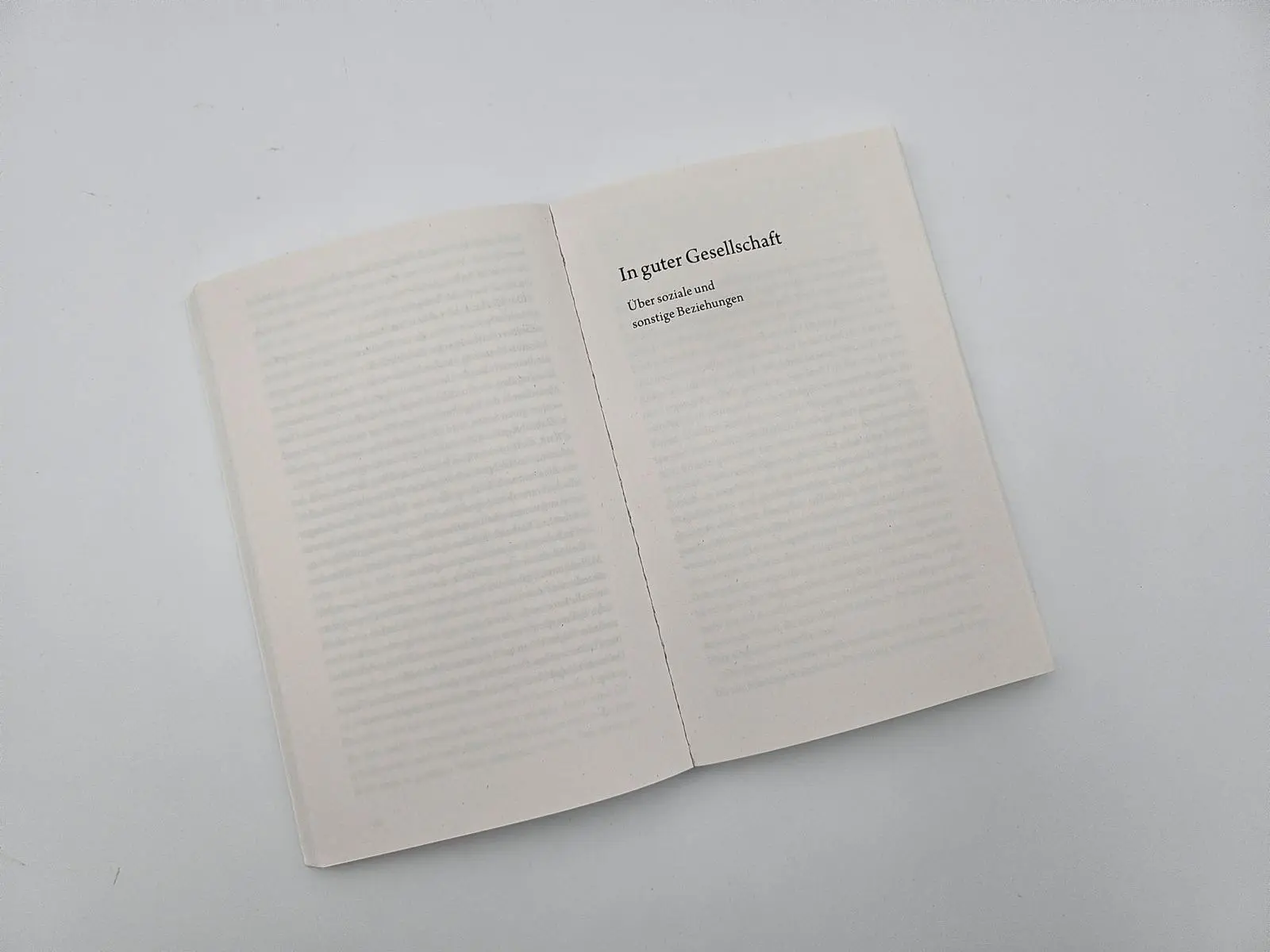 Bild: 9783492320405 | Lauter Lügen | Konrad Paul Liessmann | Taschenbuch | 256 S. | Deutsch