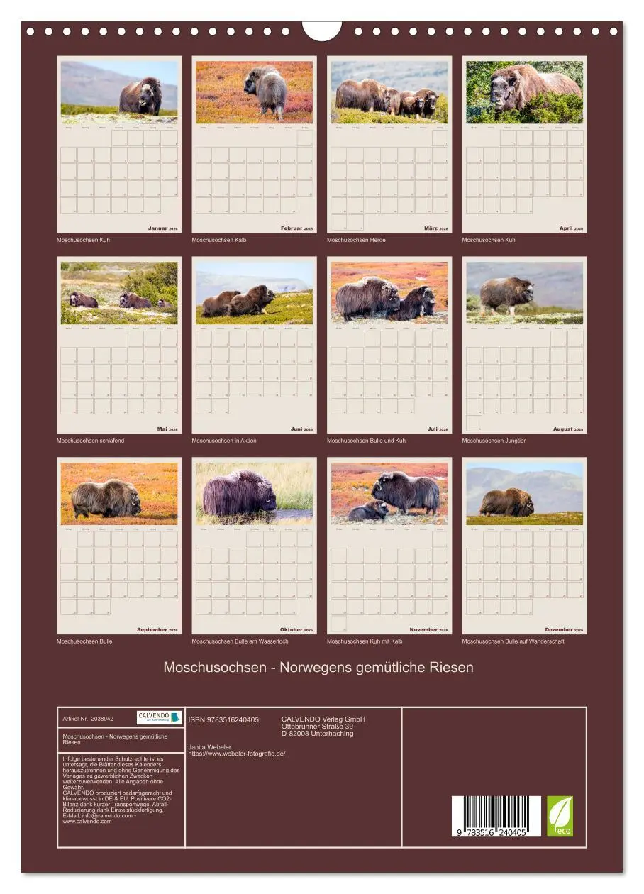 Bild: 9783516240405 | Moschusochsen - Norwegens gemütliche Riesen (Wandkalender 2026 DIN...