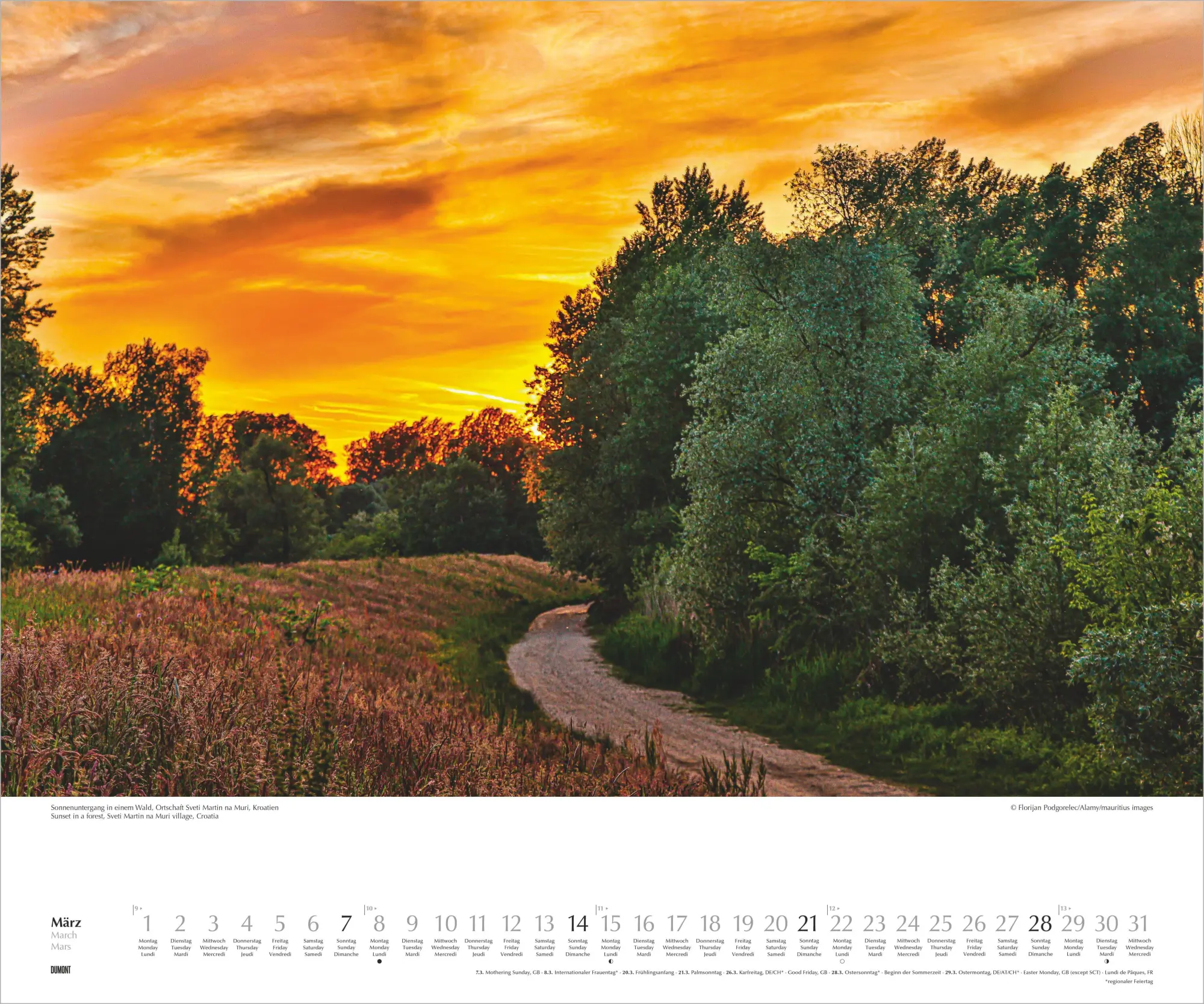 Bild: 4069095010505 | Licht in der Landschaft 2027 | Neumann Verlage GmbH &amp; Co KG | Kalender