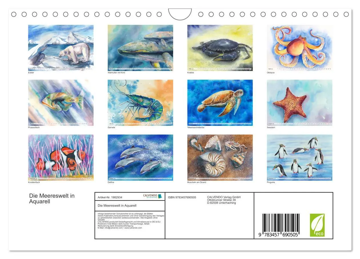 Bild: 9783457690505 | Die Meereswelt in Aquarell (Wandkalender 2026 DIN A4 quer),...