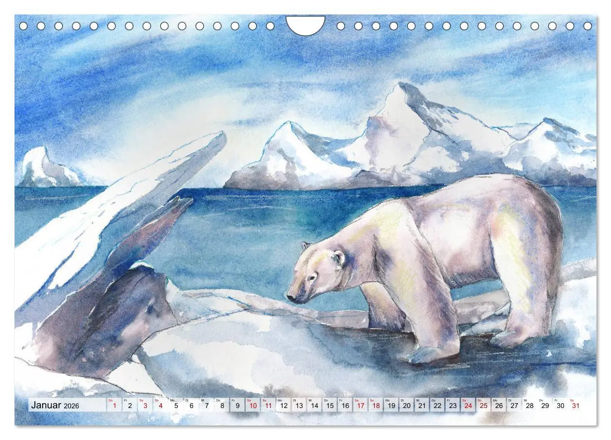 Bild: 9783457690505 | Die Meereswelt in Aquarell (Wandkalender 2026 DIN A4 quer),...