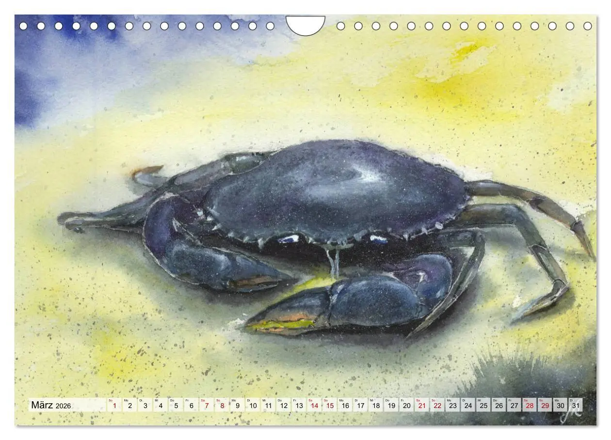 Bild: 9783457690505 | Die Meereswelt in Aquarell (Wandkalender 2026 DIN A4 quer),...
