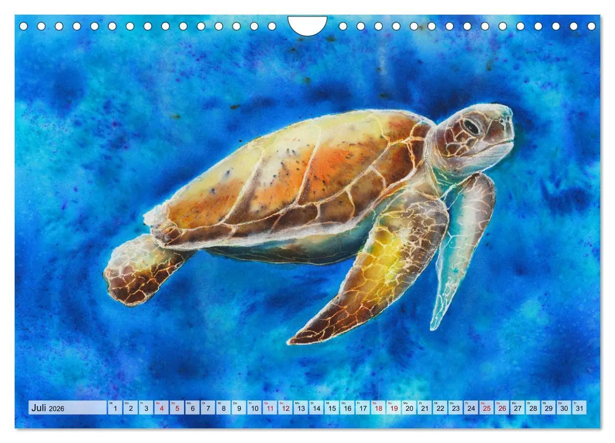 Bild: 9783457690505 | Die Meereswelt in Aquarell (Wandkalender 2026 DIN A4 quer),...