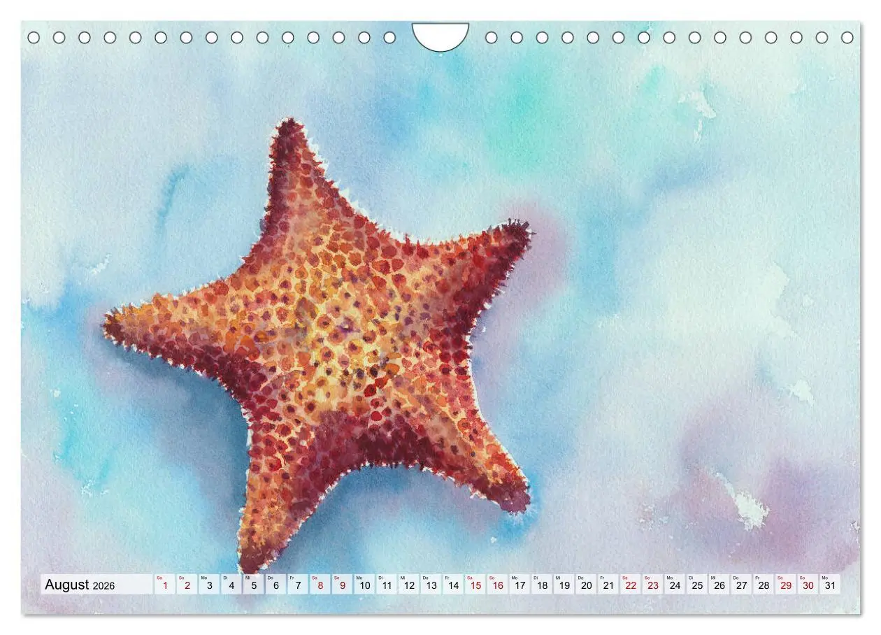 Bild: 9783457690505 | Die Meereswelt in Aquarell (Wandkalender 2026 DIN A4 quer),...