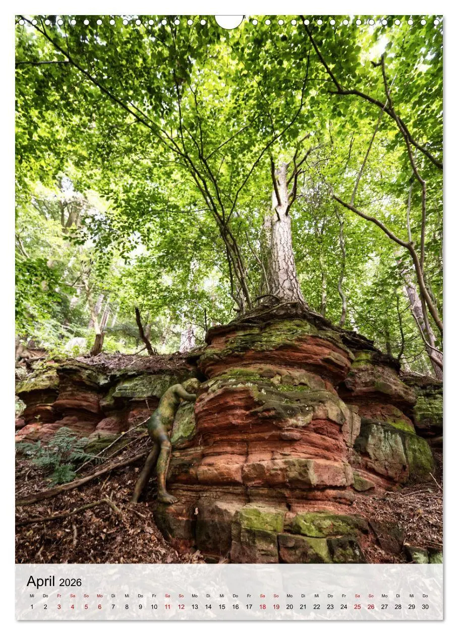 Bild: 9783516230505 | Angepasste Körper (Wandkalender 2026 DIN A3 hoch), CALVENDO...